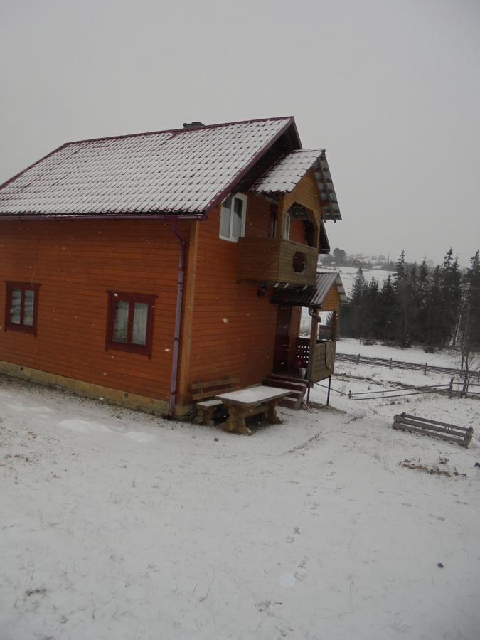 Lisovychok Villa Vorokhta Exterior foto