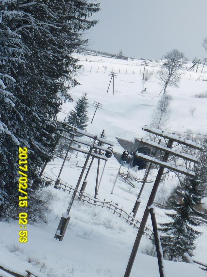 Lisovychok Villa Vorokhta Exterior foto