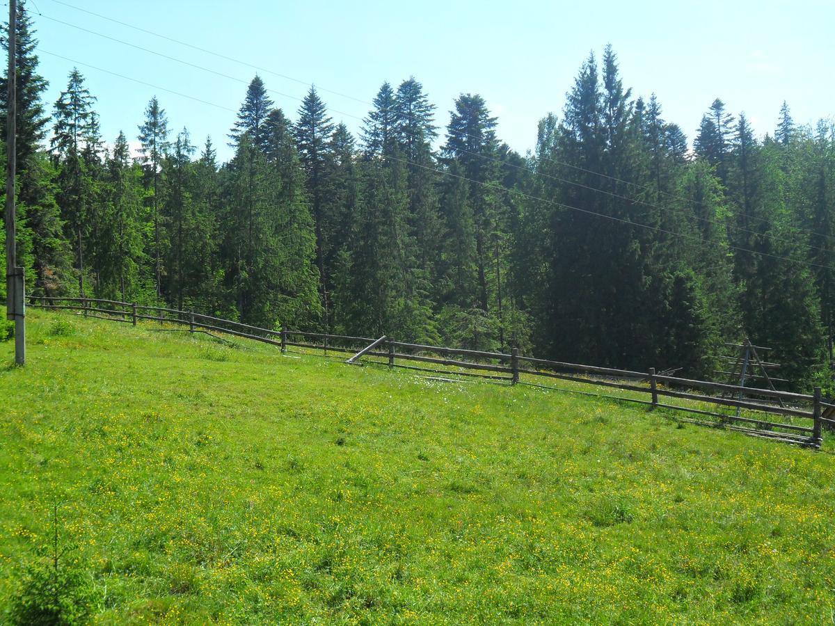Lisovychok Villa Vorokhta Exterior foto